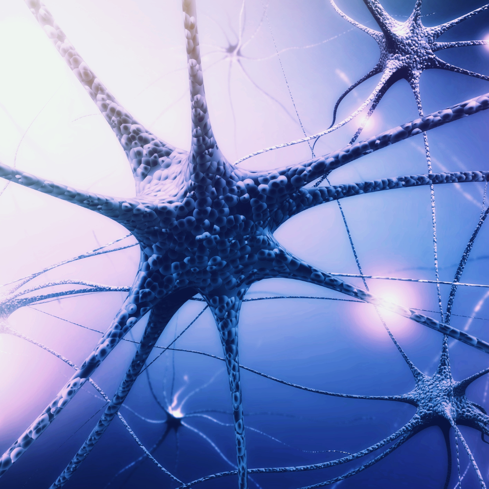 Neuro-Aromatherapie – Wie Düfte unser Gehirn beeinflussen